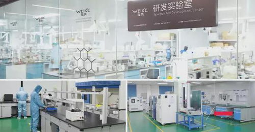 品质创新研发，铸就辉煌——东莞膜材涂布厂的能源技术新篇章