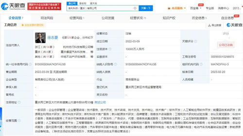 吉利科技重庆公司注销始末 成立不足一年，新能源原动设备销售业务何去何从？
